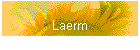Laerm