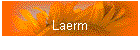 Laerm