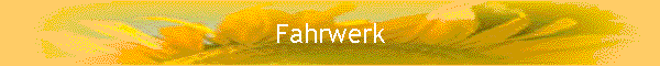Fahrwerk